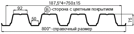 Фото: Профнастил Н75 х 750 - B (ПЭ-01-9003-0.8) в Реутове